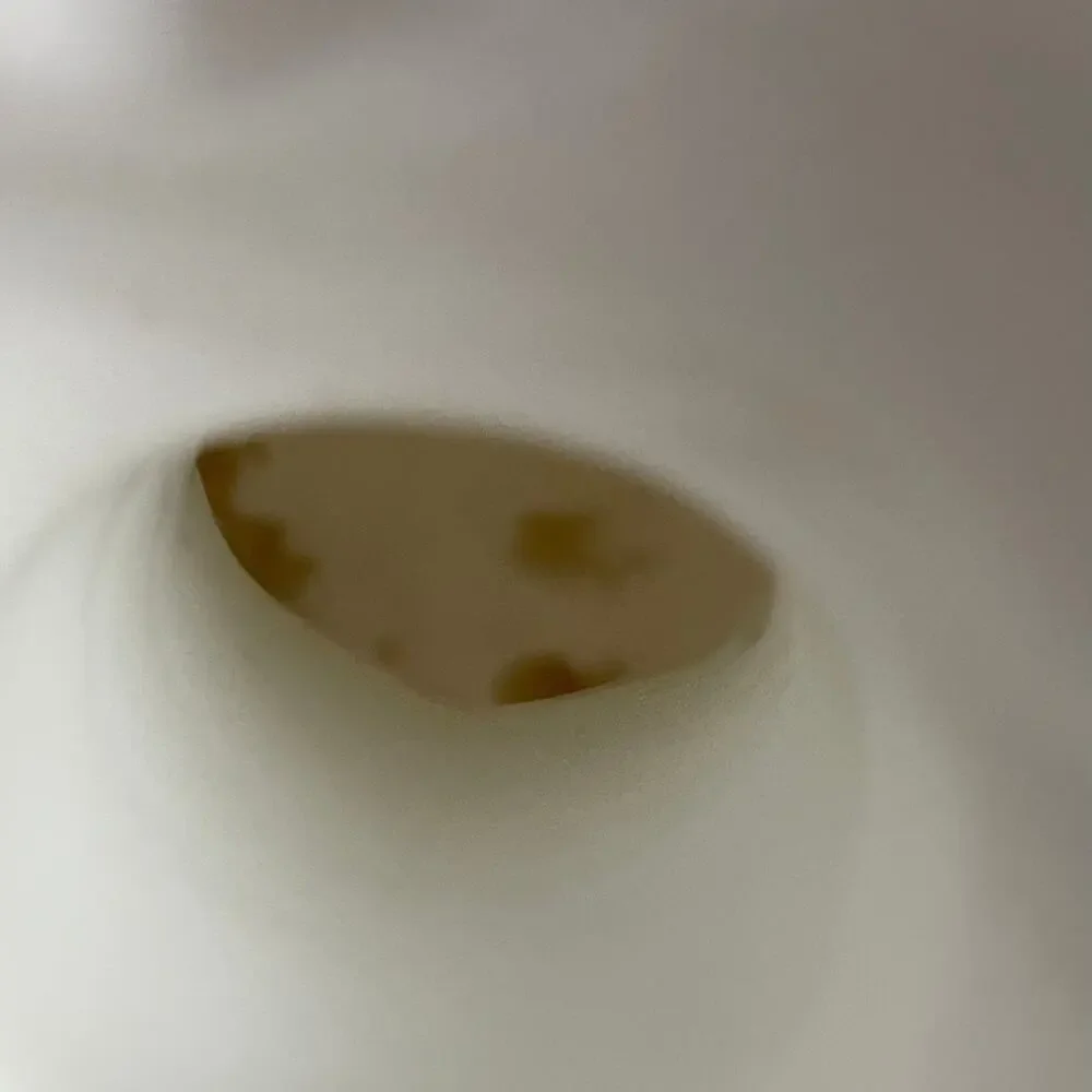 imperial vintage milk